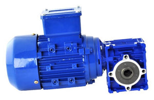 Worm gear unit with motor for brush arm travel